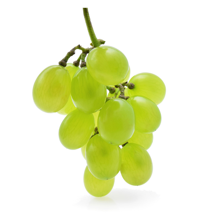 OPC -TERMINALIA- ZELLKRAFT KAPSELN